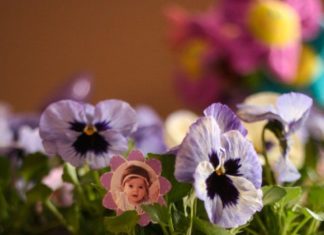Birthday Decoration : Spring-themed First Birthday Party Favors, see more first birthday party ideas a…