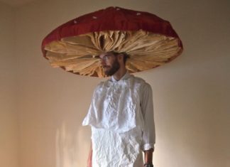 Birthday Decoration : The Cardboard Collective: cardboard mushroom costume (Next year's Halloween …