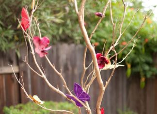 Birthday Decoration : Top 8 Mad Hatter Tea Party Ideas More