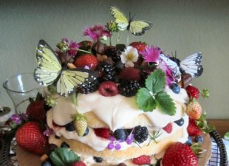 Birthday Decoration : Woodland Fairy Party Cake – Made by Meme ~ Perhaps not decadent…but quite ador…