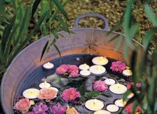 Birthday Decoration : de mooiste minivijvers