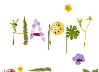 Birthday Decoration : happy birthday @Esmee Bonnemaijers Baird hope u had an amazing day love u❤❤