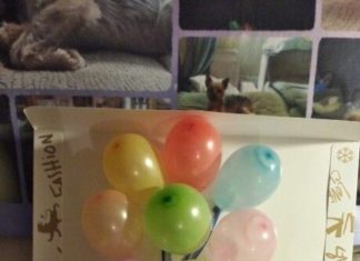 Birthday Gifts Inspiration : A box filled with lottery tickets and pop up balloons is a lucky gift idea for a…