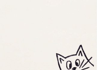 Birthday Gifts Inspiration : A very surprised cat makes peek-a-boo at you from the paper edge. Hes cool, isnt…