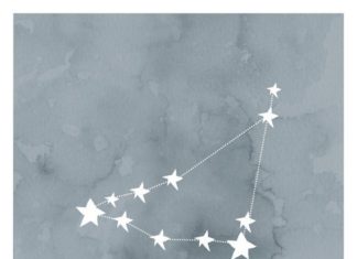 Birthday Gifts Inspiration : Capricorne du zodiaque Constellation sticker par FebruaryLane