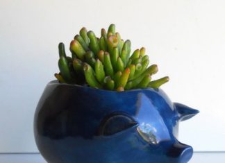 Birthday Gifts Inspiration : Ceramic Pig Planter Vintage Design in Navy Blue Succulent Planter Retro Birthday…