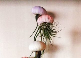 Birthday Gifts Inspiration : SIX assorties suspension méduse plantes de lAir mariage