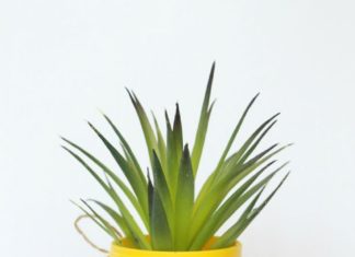 Birthday Gifts Inspiration : Transform a plain mason jar into a fun pineapple candy jar, plus free printable …