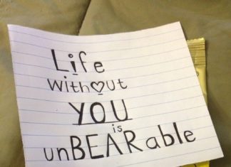 Birthday Gifts Inspiration : or “Thanks for being there even when I'm unBEARable” or “I hope this makes l…