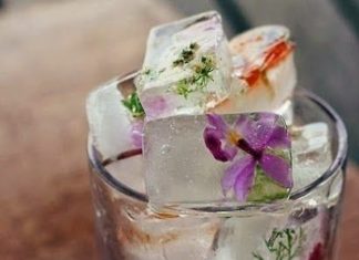 Birthday Inspiration: Eiswürfel mit …