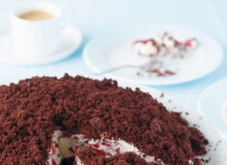 Birthday Inspiration: Erdbeer-Maulwurf-Torte