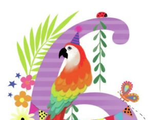 Birthday Inspiration: Happy 6th Birthday