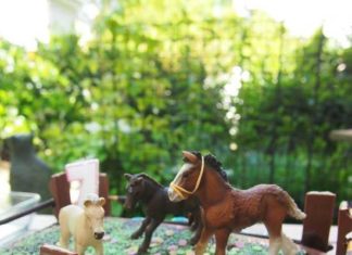 Birthday Inspiration: Pferde Kuchen für den Pferdegeburtstag – oder den Geburtstag einer Pferdenärri…