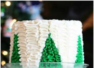 Birthday Party : 90+ Recipes for Christmas in July | www.somethingswan…