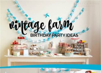 Birthday Party : A Boy’s Vintage Farm Party