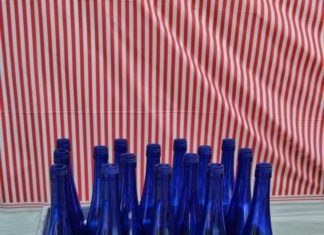 Birthday Party : Boys Circus Themed BIrthday Party Ring Toss Game Ideas