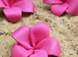 Birthday Party : Create cute and fun DIY pink plumeria hair flowers inspired by Disney's Moan…