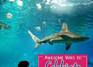 Birthday Party : Forget the huge parties with extravagant gifts and planning, keep things simple …