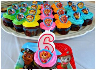 Birthday Party : How to Plan a Girl Paw Patrol Themed Birthday Party
