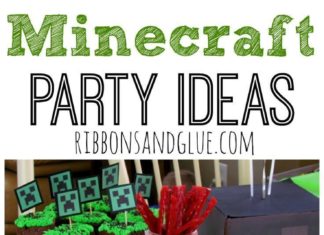 Birthday Party : How to throw a Minecraft Party! Ideas on how to make an easy Minecraft Party Cup…