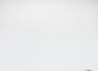 Birthday Party Inspiration : Ditch the traditional, candy-stuffed goodie bags for one of these fresh party fa…