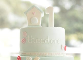 Birthday Party Inspiration : My Little Love Bird Cake