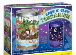 Birthday Party Inspiration : STEM toys that will enhance your kids learning!