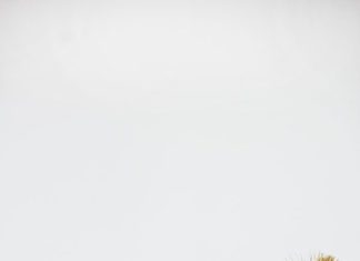 Birthday Party Inspiration : Skip the traditional goodie bags for your child's next birthday party — we…