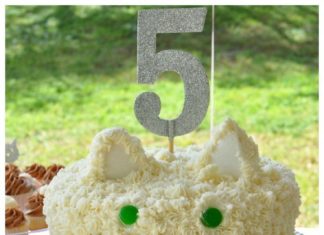 Birthday Party : Is your little one obsessed with cats? Here are some adorable ideas to help you …