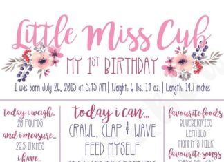 Birthday Party : Little Miss Cub Turns 1!