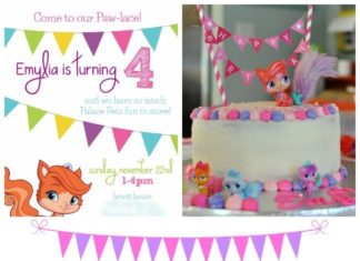 Birthday Party : Palace Pets Birthday Party Ideas