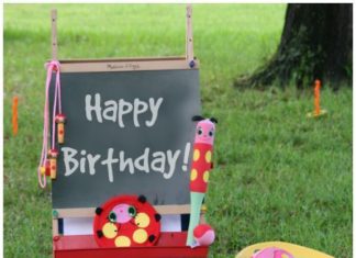 Birthday Party : Summer Birthday Party Ideas *Adorable ladybug theme!