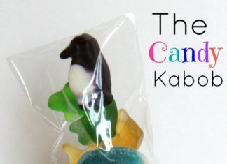 Birthday Party : The Candy Kabob by Every Day is an Occasion