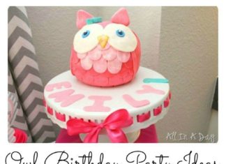 Birthday Party : These owl birthday party ideas will be loved by the kids. Such an easy and gorge…