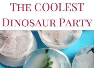 Birthday Party : This is a complete guide to hosting the coolest dinosaur birthday party ever! Yo…