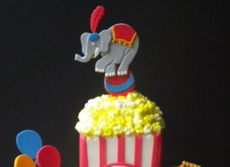 Birthday Party : boy's circus birthday party www.spaceshipsand…