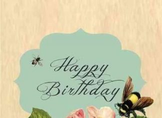 Birthday Quotes : Birthday Bee-utiful! Greeting Cards: Greeting: Happy Birthday Bee-utiful! Blank …