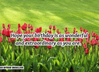 Happy Birthday Wiches : 23 Birthday Wishes for Friends & Best Friend – Happy Birthday My Friend! | HuffP…