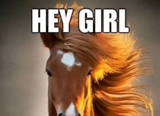 Happy Birthday Wiches : Cute birthday messages for him. You’re older today than yesterday but younger …