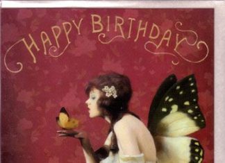 Happy Birthday Wiches : Fairy Birthday Cards by Stephen Mackey Fairies Set of 3 Gypsy …
