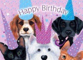 Happy Birthday Wiches : From the Sue Hall Best Friends collection here we have a group of pups and kitte…