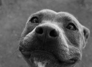 Happy Birthday Wiches : Happy Birthday! Click on this image to see the biggest selection of birthday wis…