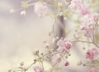 Happy Birthday Wiches : Happy Birthday Greetings on Images for Facebook, Pinterest and Other Social…