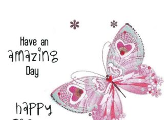 Happy Birthday Wiches : Happy Birthday Have an amazing day | Free Birthday Cards www.all-greatquot…