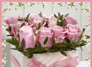 Happy Birthday Wiches : Happy Birthday Janet have a great day enjoy xxxMarie