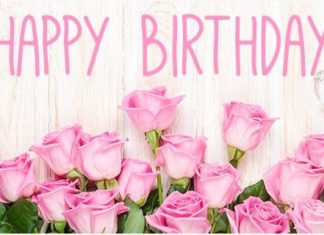 Happy Birthday Wiches : Happy Birthday Pink Rose Graphic