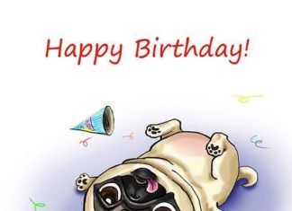 Happy Birthday Wiches : Happy birthday pug life