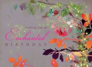 Happy Birthday Wiches : Lara Skinner – Unknown