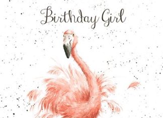 Happy Birthday Wiches : OC005 – Birthday Girl | Wrendale Designs