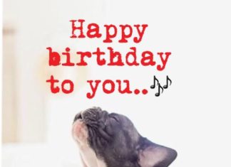 Happy Birthday Wiches : Use my referral code fvxknmj to earn a free $10 when signing up for Ibotta! Vis…